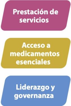 Prestación de servicios. Acceso a medicamentos esenciales. Liderazgo y governanza